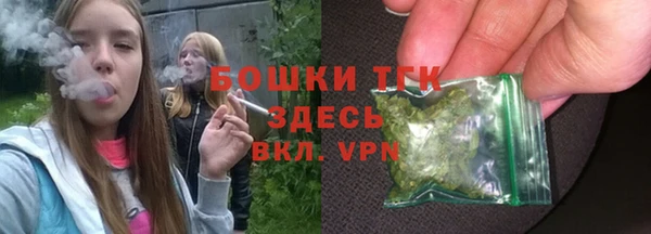 дмт Киреевск
