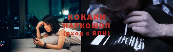 гашик Коряжма