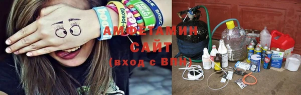 крисы Козловка