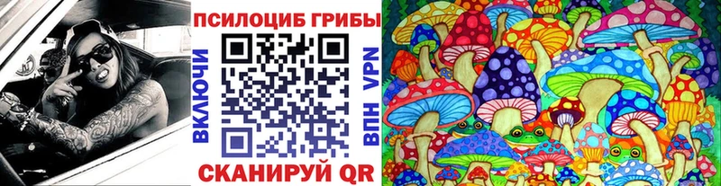 дарнет шоп  гидра вход  Галлюциногенные грибы Psilocybine cubensis  Кинешма 