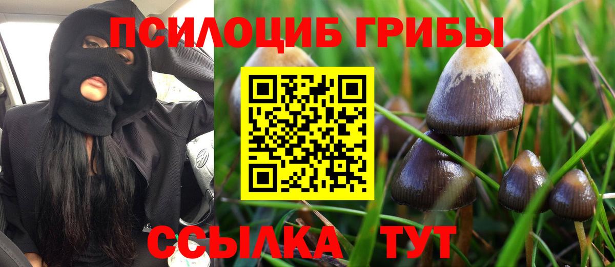 Кинешма  Псилоцибиновые грибы мицелий  Вход с VPN 